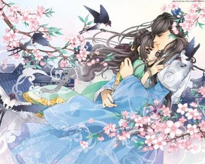 芒果视频永久回家地址